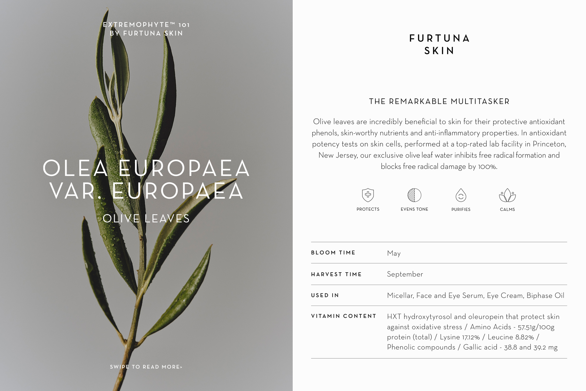 Extremophytes101