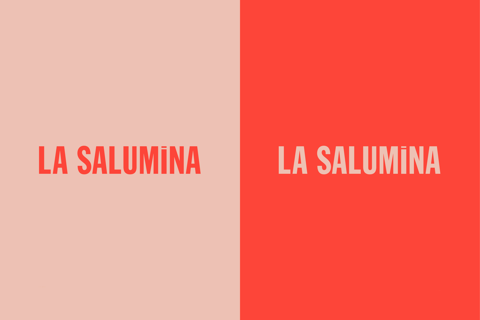 La-Salumina-Logo